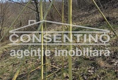Casă cu 6 camere cu Teren 2200 Mp în Tisău - 6