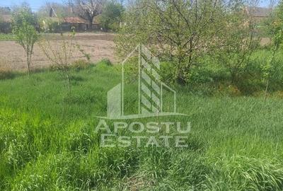 Casă individuală cu 2 camere cu Canalizare în Cruceni - 17