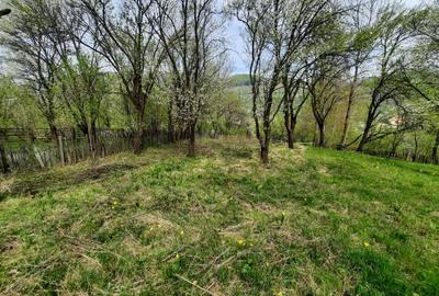 Teren intravilan de 3108 mp, în Teșila - 8