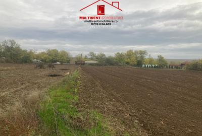 Teren cu case de vanzare in Randunica , Tulcea! - 3