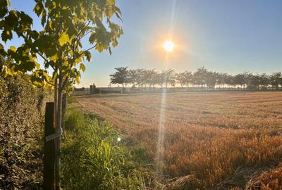 Teren în Central - 5