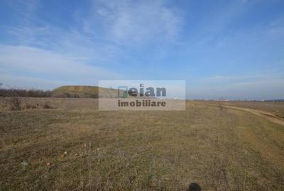 Pipera - Lidl Racovita -  Teren 6000 Mp, 38 Ml Deschidere 38 Ml - 12