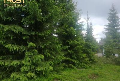 Teren de vanzare, Belis,1300mp, Strada principala, Intravilan - 3