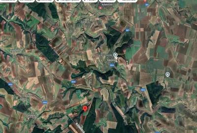 Teren de 18800 mp, în Deleni - 6