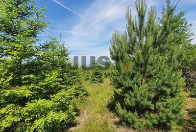 Două loturi a cate 6 terenuri în Călățele-Pădure, | 3526 mp - 1728 mp - 5