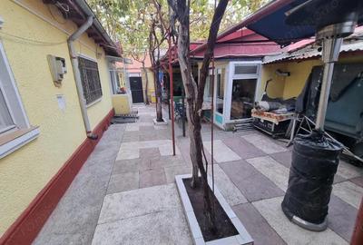 Viile noi-casa la sol cu garaj - 4