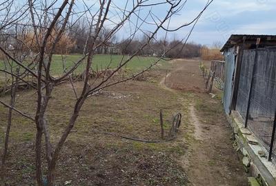 Casă cu 5 camere în Poiana Mare - 6