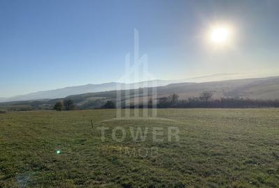 Teren pentru constructie cabana in Dealul Daii-parcele de 650 mp - 3