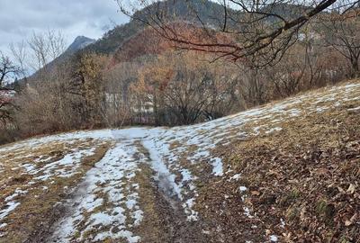 Comision 0%/ Teren intravilan 1,577mp Brasov / Schei/Aer curat - 9