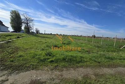 TEREN INTRAVILAN | 1400 MP | GIRISU DE CRIS - 5