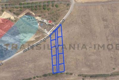 Teren 600 Mp, zona Giuseppe Verdi - 4