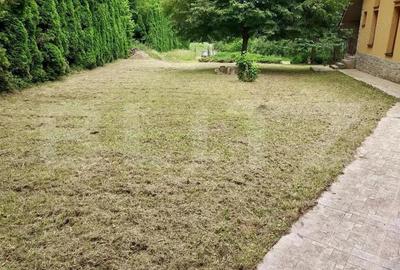 Casa de Vacan?a pe Valea Ighielului 3 camere, 2500 mp curte - 17