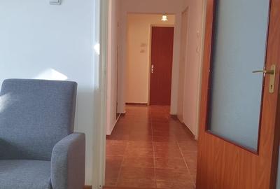 Apartament cu 2 camere decomandat în Sălăjan - 15