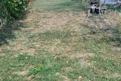 De vanzare casa, curte ?i gradina in Ora?tie - 1