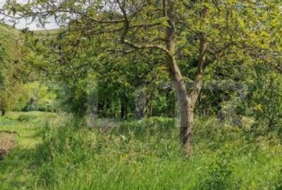 Casa renovabila de 127 mp, cu 2100 mp teren, localizata c - 10