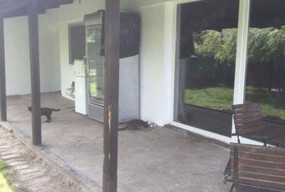 Casă cu 4 camere cu Teren 1781 Mp în Checea - 4