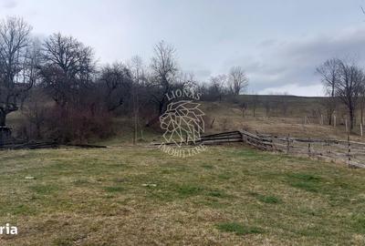 Casă cu 2 camere în Bociu - 8