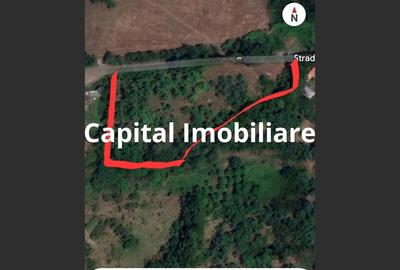 Teren Baia Sprie: 5143 mp, Parcelabil, Comision 0! - 8