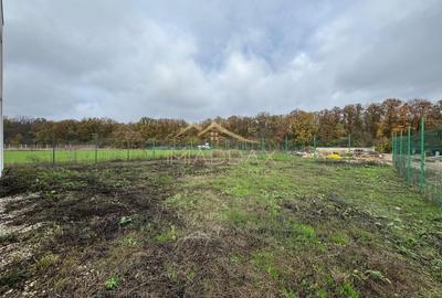 Casă individuală cu 5 camere cu Canalizare în Balotești - 41