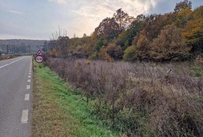 Teren de 1717 mp, în Mărgineni - 4