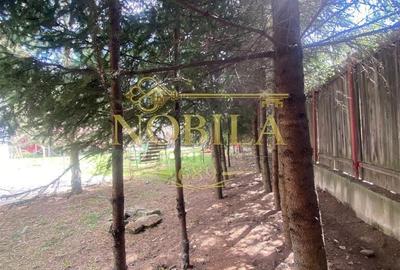 Casă cu 10 camere cu Teren 1332 Mp în Mănăstirea Cașin - 6