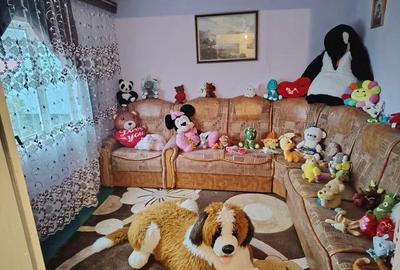 Casă cu 4 camere cu Teren 400 Mp în Cătiașu - 4