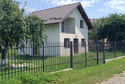 Casă individuală cu 2 camere cu Teren 500 Mp în Mlenăuți - 3