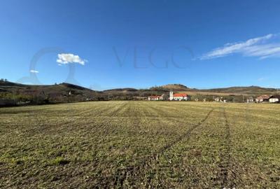 Teren de 7342 mp, în Alma - 4