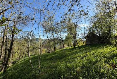 Casă cu 4 camere în Blăjeni - 2