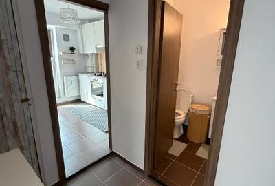 Garsonieră decomandată, mobilată în Unirii - 7