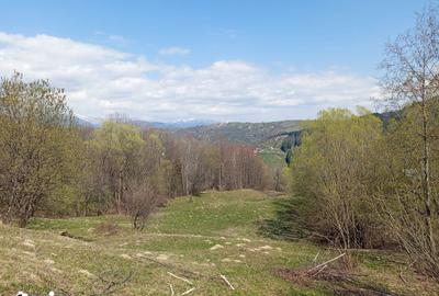Teren de 18937 mp, în Secăria - 2