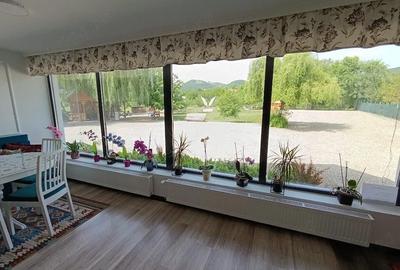 Casă cu 9 camere cu Teren 8000 Mp în Bârsana - 10