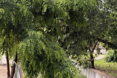 Casă individuală cu 3 camere cu Garaj în Cricău - 8