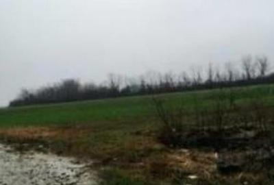 Teren Extravilan Manesti, jud. Prahova - ID: R1979552 - 1