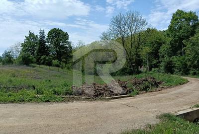 Intravilan Tiparesti, relaxare aproape de padure - 5