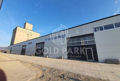 Spatiu Industrial - Baciu - Parc Logistic in Curs de Construire - 9