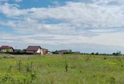 Teren de 2600 mp, în Brășăuți - 5