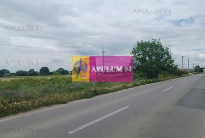 Săbăreni, teren 1900 mp, stradal, hală depozitare, productie, comert - 4