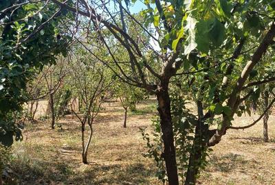 Vand casa in Sabareni - 6