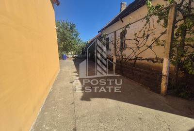 Casă individuală cu 5 camere cu Canalizare în Teremia Mare - 3
