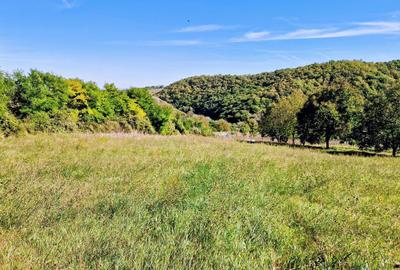 Spațiu comercial, în Moldovenești - 3