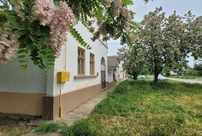 Casă cu 3 camere cu Teren 1434 Mp în Satchinez - 4