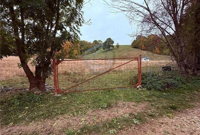 Teren intravilan 17,265 mp in Tomnatic, comuna Vadu Crisului - 1