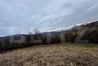 Teren extravilan 4300 mp, zona Criseni - Paclisa - 3