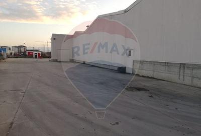 DE VANZARE Hala | 17.230mp | 4MW | 3ha Teren | Sebes | A1 - 7