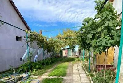 Casă cu 4 camere în Central - 2