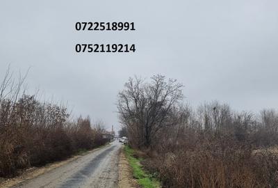 Ocazie, 4500 mp, Autostrada A1, KM 31, Palanca, Militari, doar 7 euro/mp! - 8