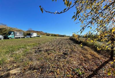 RECO vindem casa in Tinaud - 3