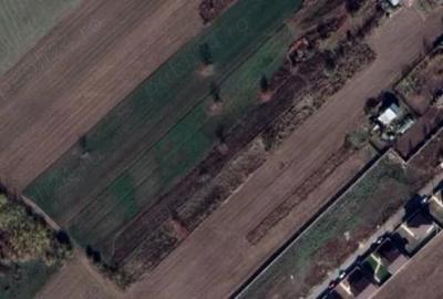 Teren agricol intravilan de 1588 mp, în Cernica - 2