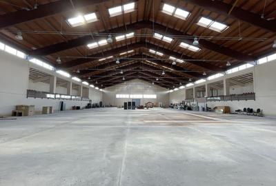 Spațiu comercial, de 4,050 mp, în Herneacova - 3